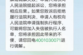 阳逻有讨债公司吗？揭秘讨债行业的现状与服务